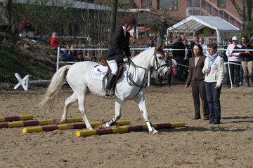 Bild 899 - WBO-Turnier am 9.4.11